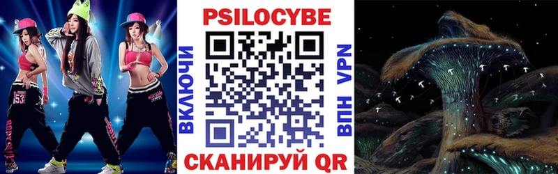 сайты даркнета официальный сайт Ртищево Псилоцибиновые грибы ЛСД